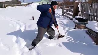 2 - Откапываю семьи на втором точке. Карника на Урале.