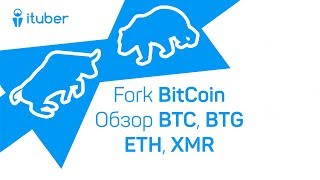 Fork BitCoin до 1-го Ноября. Обзор BitCoin BTC, BitCoinGold BTG, Ethereum ETH, Monero XMR