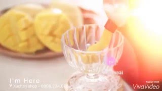 Máy làm kem từ hoa quả tại nhà zoohome