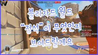 (오버워치) [4700++ WHO] 블리자드 월드 "정석" 아나