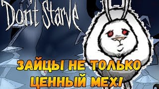Don't Starve [СУПЕРБАЗА] #36 - Зайцы не только ценный мех!