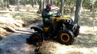 Renegade 800