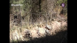 La Diputación aporta 6.000 euros para señalizar la ruta senderista del Alto Tajo. GuadaTV