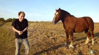 2 Guys 1 Horse