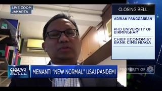 Adrian Panggabean: Pemulihan Ekonomi RI Berpotensi Lebih Lambat