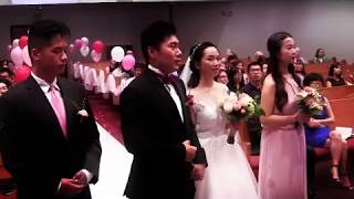 乐队献诗SeedBand 刘晨加莱婚礼【刘晨加莱婚礼系列】 by Situ