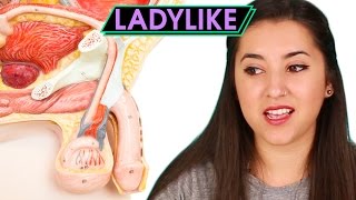 Women Take A Middle School Sex Ed Quiz • Ladylike