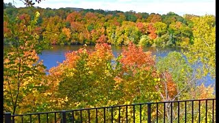 Fall Colors 2019 in Ultra 4K