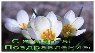 8 марта день весенний! Поздравление с 8 марта.