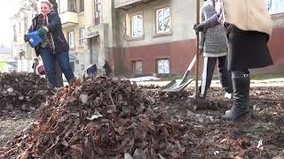 В Стаханове начаты работы по весеннему благоустройству