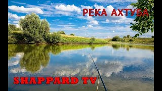 Русская рыбалка 4.? Осетринка?200 лайков фидер Fantazia FD390(14.5 кг)?РОЗЫГРЫШ НАЖИВКИ И БЛЕСЕН