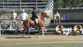 Seth fra Nøddegården 2, NC 2006 T1