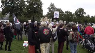 LIVE: AfD's final campaign rally expected to be met by counter-protest in Berlin