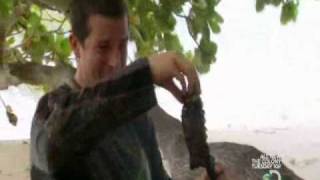 Man vs Wild Western Pacific p-4