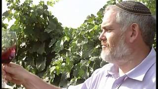 Teperberg 1870 Winery Hebrew יקב טפרברג 1870