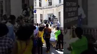 Southern Cameroon in Canada take embassy hostage