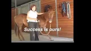 Clipping a Horse - Do it Right the First Time!
