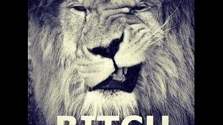 ? The Hunger of a Lion, Is Written on Your Face ??