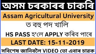 AAU, Jorhat Recruitment 2019: Research Technician/ Junior Office Assistant ||BY Assam Jobs||
