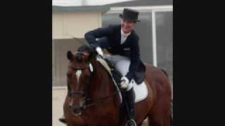 Equestrian Sports are not cruel