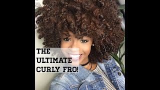 THE ULTIMATE CURLY FRO!