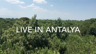 Live in Antalya