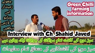Green chilli (سبز مرچ) farming in Pakistan | Question answer session | Tunnel farming information