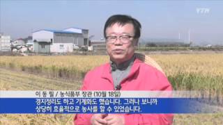 쌀 '관세화'로 가닥...필리핀도 협상 실패 / YTN
