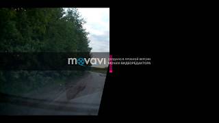 Дорога Нюксеница-Городищна июнь 2018