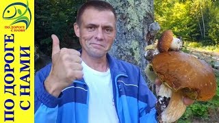 БЕЛЫЕ ГРИБЫ в СЕНТЯБРЕ в поисках НОВЫХ МЕСТ для сбора БЕЛЫХ ГРИБОВ осенью 2018