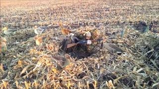 Охота на гуся на Днепропетровщине( Hunting for a goose in Ukraine)