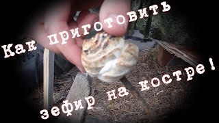 Как жарить зефир на костре!