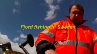 Дальнобой по Скандинавии.Fjord fishing in Sweden