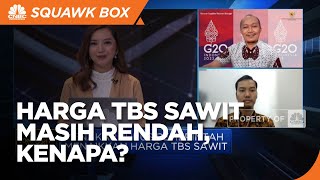 Pungutan Ekspor CPO Disetop, Harga TBS Sawit Bisa Cepat Naik?