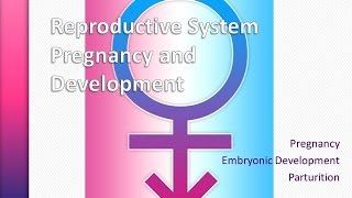 Pregnancy and Embryonic Development