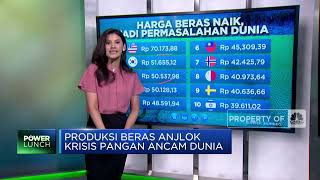 Produksi Beras Anjlok, Krisis Pangan Ancam Dunia