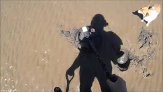 Beach detecting Ireland  - Another Gold