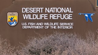 Desert National Wildlife Refuge