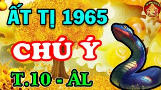 Tử Vi Tuổi Ất Tị 1965 May Mắn, Giàu Có Hay Vận Hạn Thế Nào Trong Tháng 10 Âm Lịch