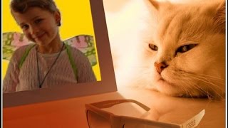 Паланга 2016 год зима