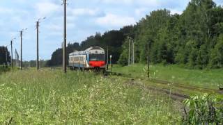 Дизель-поезд ДР1Б-508 сообщением Гомель - Могилёв