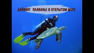 Дахаб. Дайвинг.  Плаванье в открытом красивом море