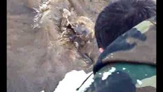 Рыбалка ЯНАО ЩУКА Ноябрьск.Fishing in Russia.Noyabrsk. the pike.