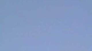 Park Zone T-28 With Flaps Flight #1