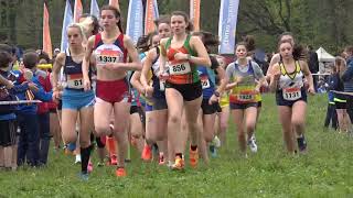 Campionati Italiani Cross CSI 2019