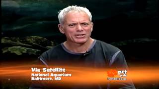 River Monsters - The Craziest Fish You've Ever Seen