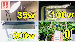 粗略比较LED - 35W照明灯，100W生长灯，600W生长灯 - 有亮度和耗电数据