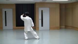 ２４式太極拳　背面　竹内健二