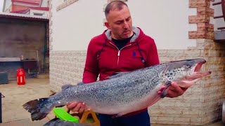РЫБА СЁМГА в КОПТИЛКЕ, РЫБА ГОРЯЧЕГО КОПЧЕНИЯ.
