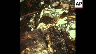 SYND 9-12-72 BOMBS WRECK BEIRUT NEWSPAPER OFFICES